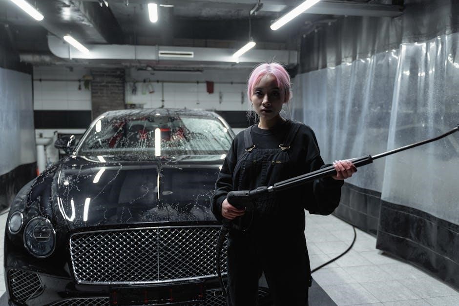 hoover dual power carpet washer manual