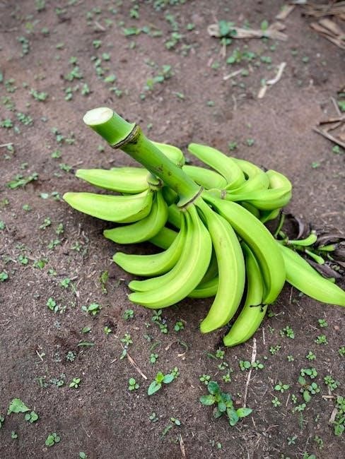 banana white instructions